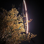 Photo n°1 de l'avis de Nuno.e fait le 08/03/2023 à 23:54 sur le  UMAMI Restaurante Porto à Porto