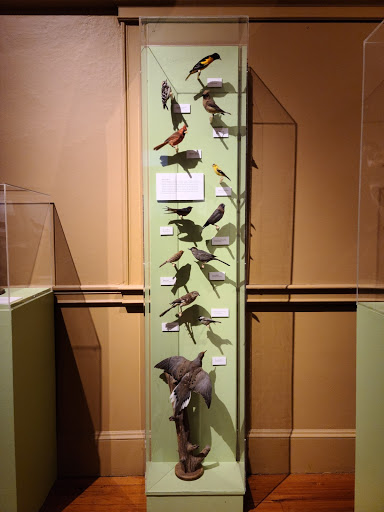 Natural History Museum «Museum of Natural History and Planetarium», reviews and photos, 1000 Elmwood Ave, Providence, RI 02907, USA