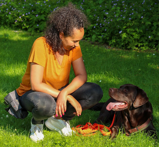 Frankfurter Stadtpfoten - Hundetraining Sarah Mehari | Hundeschule Frankfurt am Main