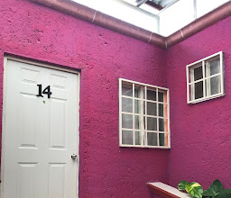 Hotel Amazonas photo