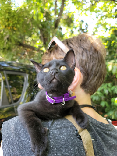 Pet Supply Store «Pet Club Santa Rosa», reviews and photos, 1935 Santa Rosa Ave, Santa Rosa, CA 95407, USA