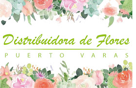 Distribuidora de Flores Puerto Varas