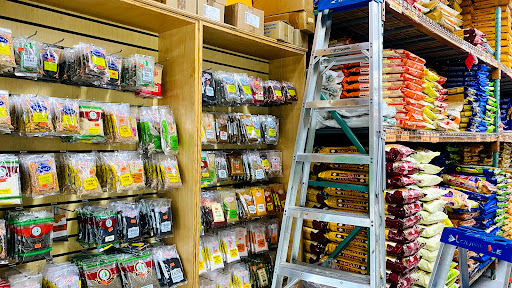 Grocery Store «Bhavani Food Market», reviews and photos, 402 W Lincoln Hwy, Exton, PA 19341, USA