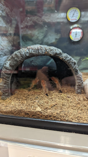 Pet Supply Store «Petco Animal Supplies», reviews and photos, 4175 Dowlen Rd, Beaumont, TX 77706, USA