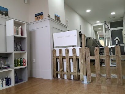 Styl´Dogs Peluqueria Canina - Servicios para mascota en Cádiz