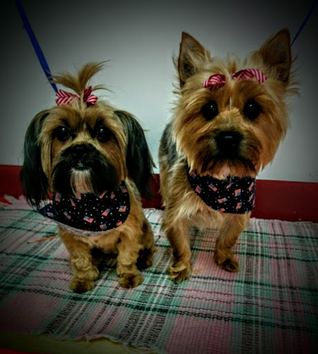 Pet Groomer «A Klassy Lassie, LLC», reviews and photos, 30 Old Jackson Rd, McDonough, GA 30252, USA