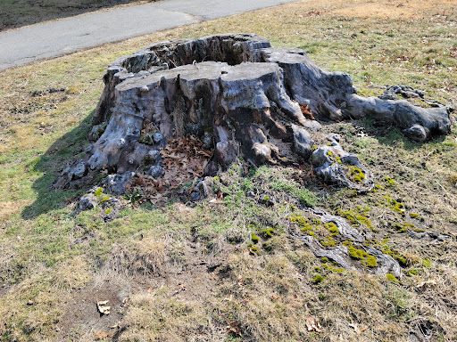 Park «Kennedy Park», reviews and photos, S Main St, Fall River, MA 02724, USA