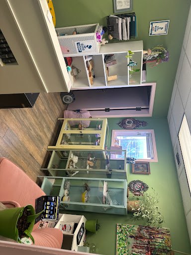 Explore 5 names tattoo ideas, creative tattoo ideas in Memphis, available at Rose Quartz Body Adornment LLC