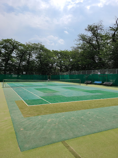 昭和公園 テニスコート