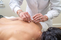 Deena Parry Wellness & Acupuncture - Photo 7 - Car repair in Agoura Hills, CA, Thousand Oaks