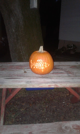 Fishing Store «Indian Creek Fishing & Fire Arms», reviews and photos, 3479 Mango Dr, Danielsville, PA 18038, USA