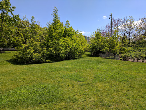 Park «Brooklyn Bridge Park», reviews and photos, 334 Furman St, Brooklyn, NY 11201, USA