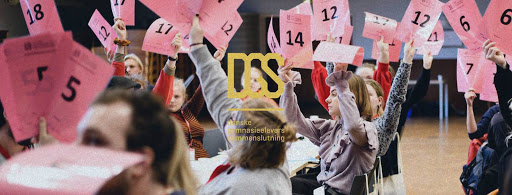 Danske Gymnasieelevers Sammenslutning