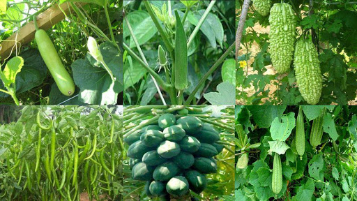 Grocery Store «Halal Groceries», reviews and photos, 13000 Aldrich Ave S, Burnsville, MN 55337, USA