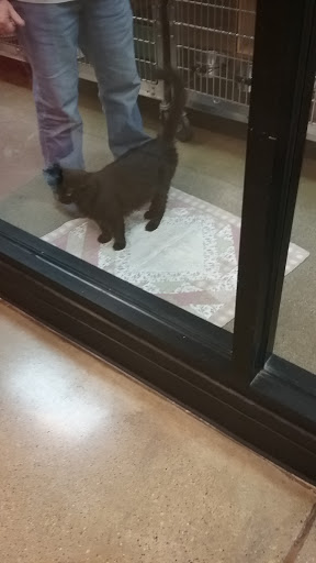 Pet Supply Store «PetSmart», reviews and photos, 20530 E 13 Mile Rd, Roseville, MI 48066, USA