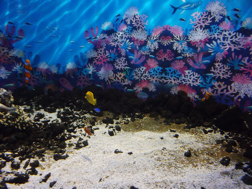 Aquarium Valparaiso