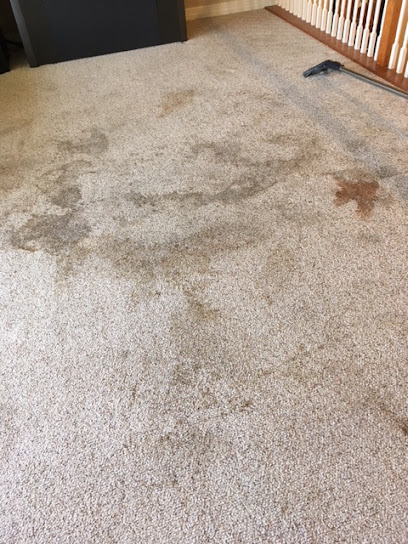 Simply Clean Carpets