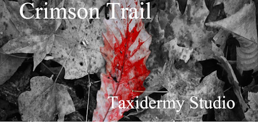 crimson trail taxidermy