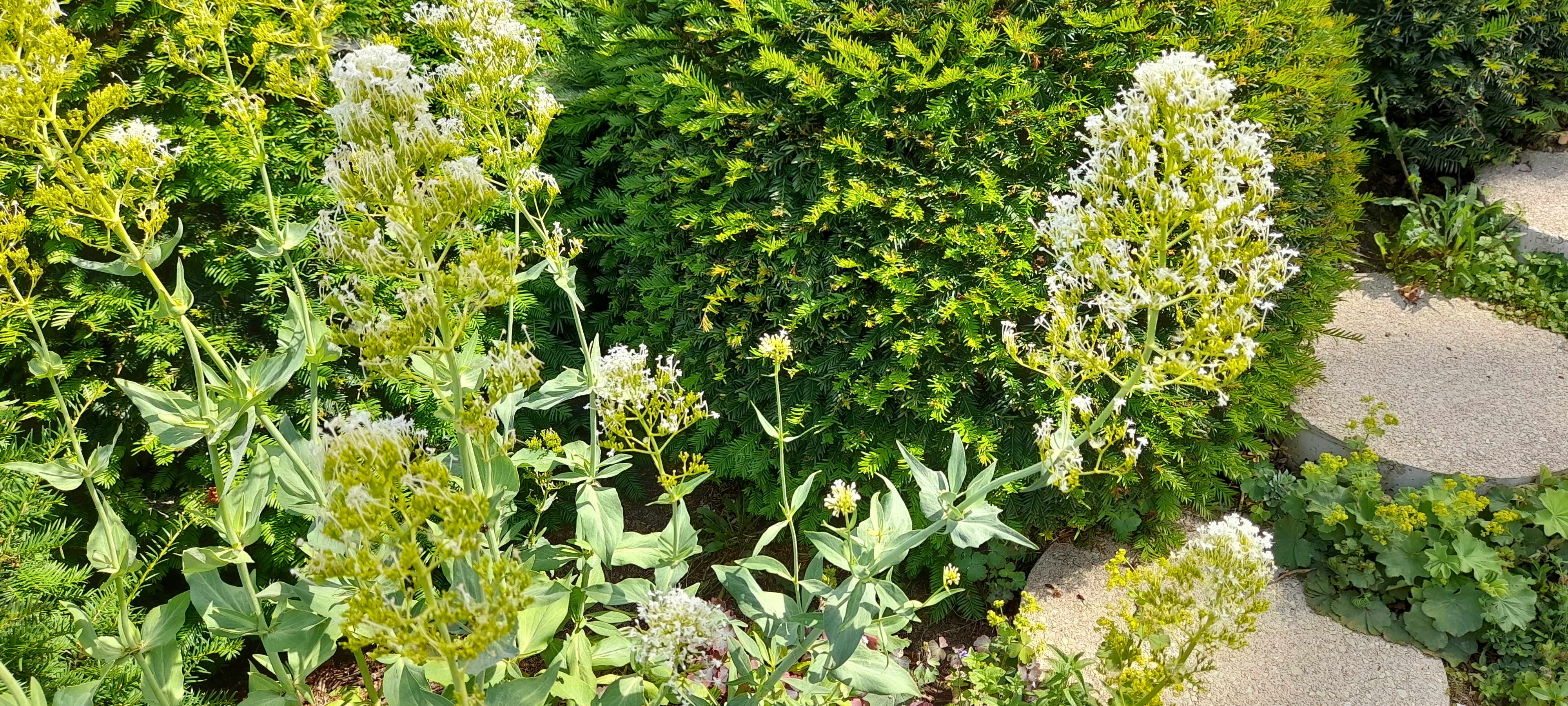 Photo n° 7 de l'avis de D. fait le 17/06/2022 à 17:29