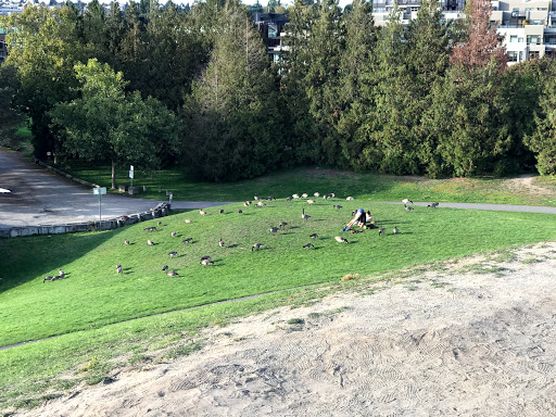 Park «Gas Works Park», reviews and photos, 2101 N Northlake Way, Seattle, WA 98103, USA