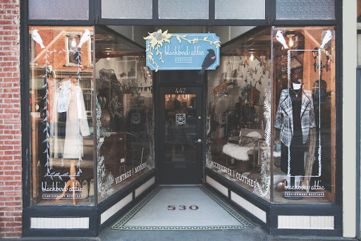 Clothing Store «Blackbird Attic», reviews and photos, 442 Main St, Beacon, NY 12508, USA