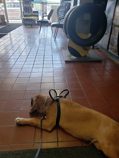 Tire Shop «NEW ENGLAND TIRE Car Care Centers - Northborough», reviews and photos, 367 W Main St, Northborough, MA 01532, USA