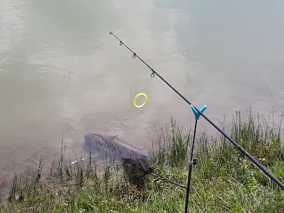 Horgásztó