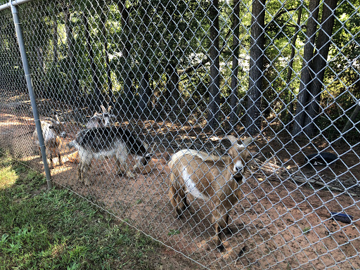 Self-Storage Facility «Newnan Lock Storage - I-85 North Location», reviews and photos, 205 Elzie Johnson Rd, Newnan, GA 30265, USA