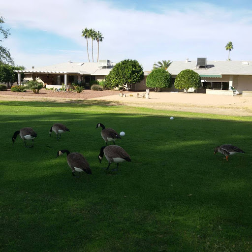 Country Club «Union Hills Country Club», reviews and photos, 9860 W Lindgren Ave, Sun City, AZ 85373, USA