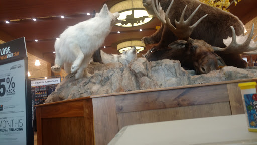 Outdoor Sports Store «Field & Stream», reviews and photos, 3851 Chapel Ln, Hoover, AL 35244, USA