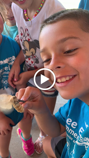 Day Care Center «Wee Excel Preschool & Child», reviews and photos, 30560 Utica Rd, Roseville, MI 48066, USA