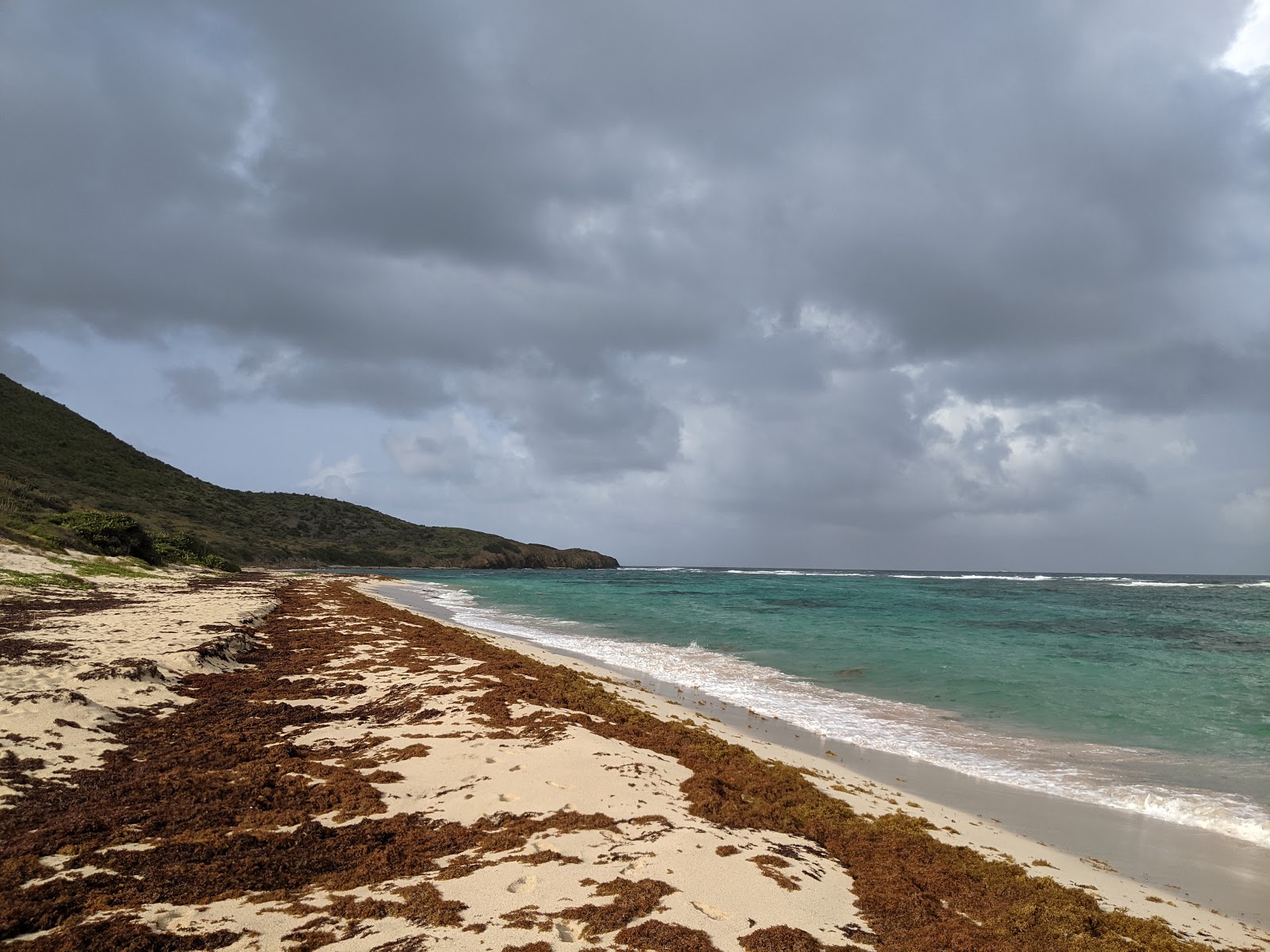 Foto di Isaacs Bay beach ubicato in zona naturale