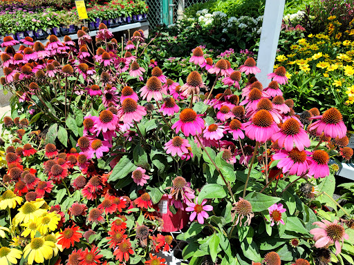 Home Improvement Store «The Home Depot», reviews and photos, 5455 Fairmont Pkwy, Pasadena, TX 77505, USA