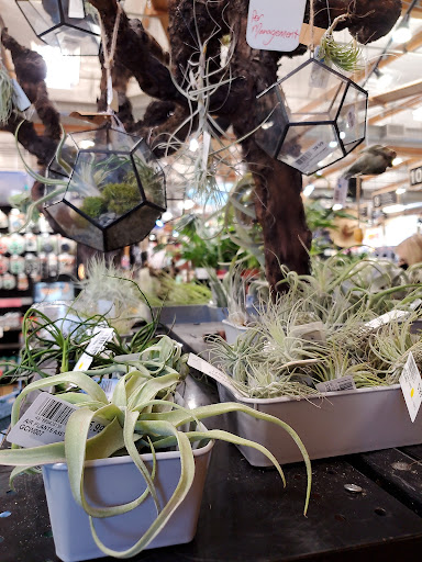 Hardware Store «Downtown Walnut Creek Ace Hardware», reviews and photos, 2044 Mt Diablo Blvd, Walnut Creek, CA 94596, USA