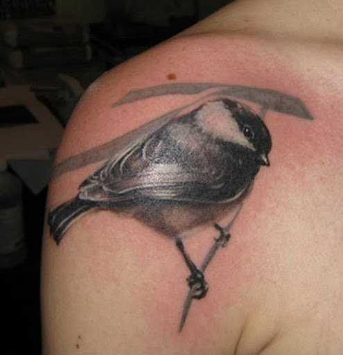 Tattoo Shop «Looking Glass Tattoos», reviews and photos, 207 Drum Point Rd, Brick, NJ 08723, USA