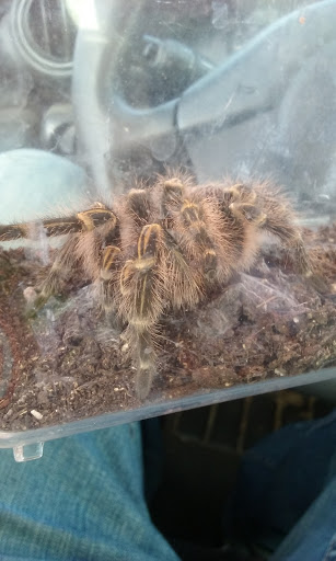 Pet Store «Pet Zone», reviews and photos, 1620 Marion-Mt Gilead Rd, Marion, OH 43302, USA