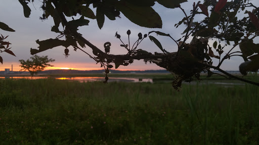 Nature Preserve «Sandy Point Bird Sanctuary», reviews and photos, Beach St, West Haven, CT 06516, USA