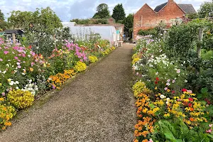 Guy’s Cliffe Walled Garden image