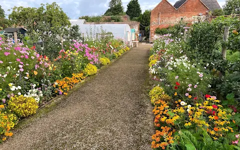 Guy’s Cliffe Walled Garden image