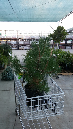 Home Improvement Store «Menards», reviews and photos, 6401 SW 17th St, Topeka, KS 66604, USA