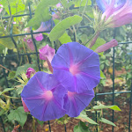 Photo n°2 de l'avis de Lindsey.i fait le 10/10/2022 à 17:44 sur le  Paraíso do Algarve à Albufeira