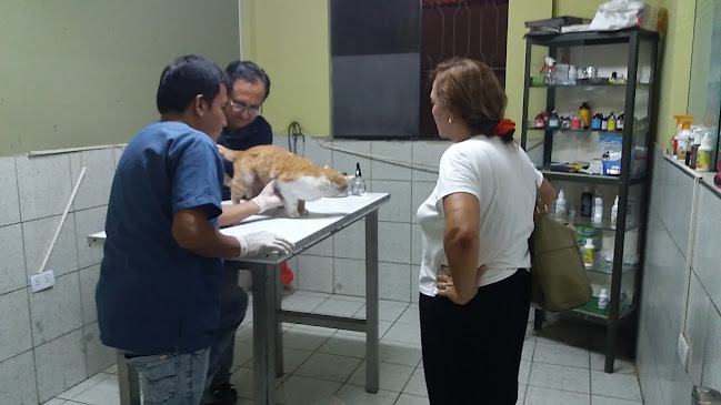 Opiniones de Veterinaria Santa Isabel en Piura - Veterinario