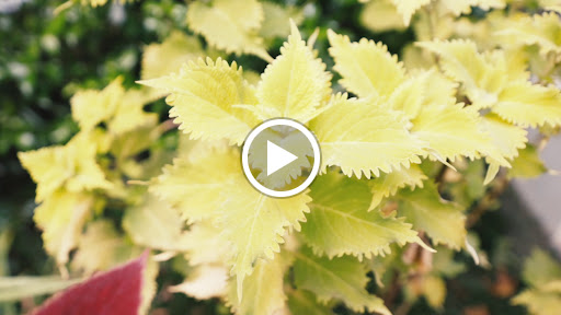 Nature Preserve «Autrey Mill Nature Preserve & Heritage Center», reviews and photos, 9770 Autrey Mill Rd, Johns Creek, GA 30022, USA