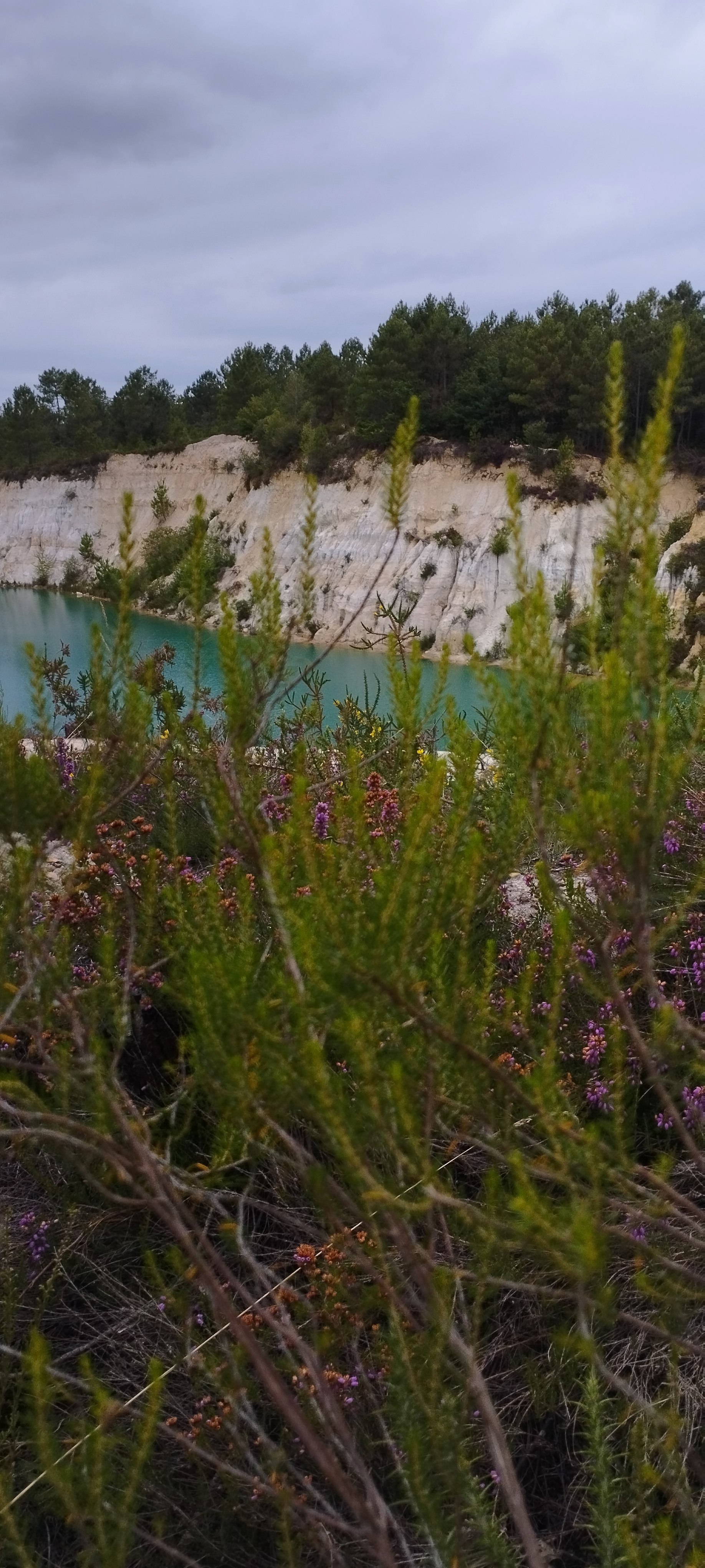 Photo n° 5 de l'avis de philippe.o fait le 31/07/2023 à 16:07