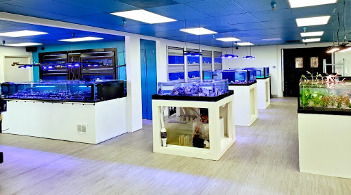 Tropical Fish Store «LE Corals Saltwater Aquarium Showroom», reviews and photos, 3414 S 48th St #2, Phoenix, AZ 85040, USA