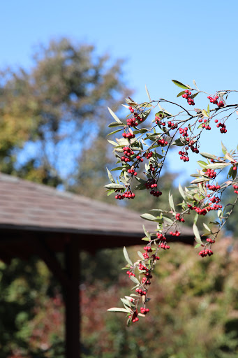 Tourist Attraction «NatureScaping Wildlife Botanical Gardens», reviews and photos, 11000 NE 149th St, Brush Prairie, WA 98606, USA