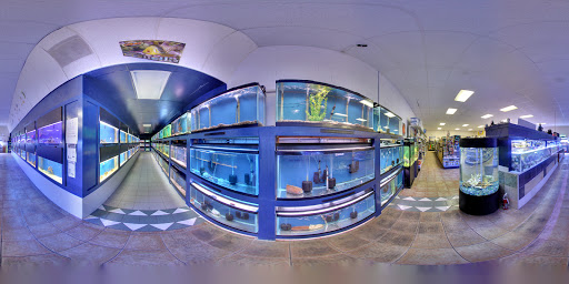 Pet Store «Aqua Workz Aquarium», reviews and photos, 8125 Belvedere Ave, Sacramento, CA 95826, USA