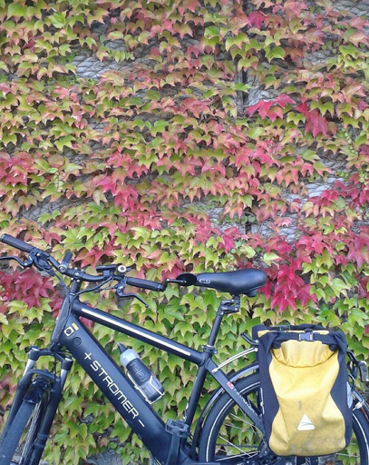 Bicycle Store «Electric & Folding Bikes Northwest», reviews and photos, 4810 17th Ave NW, Seattle, WA 98107, USA