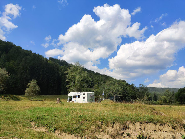 Autorulote de inchiriat in Ploiesti - Daria Campers S.R.L - <nil>