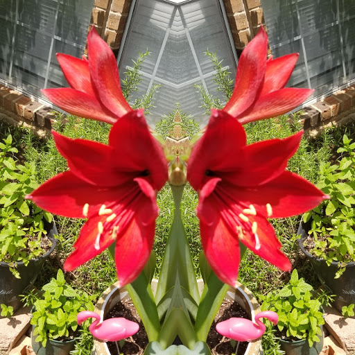 Water Park «Paradise Springs Aquatic Park», reviews and photos, 1501 Gaylord Trail, Grapevine, TX 76051, USA